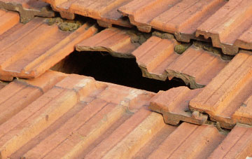 roof repair Trezaise, Cornwall