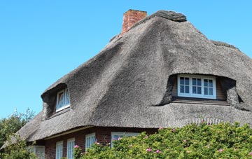 thatch roofing Trezaise, Cornwall